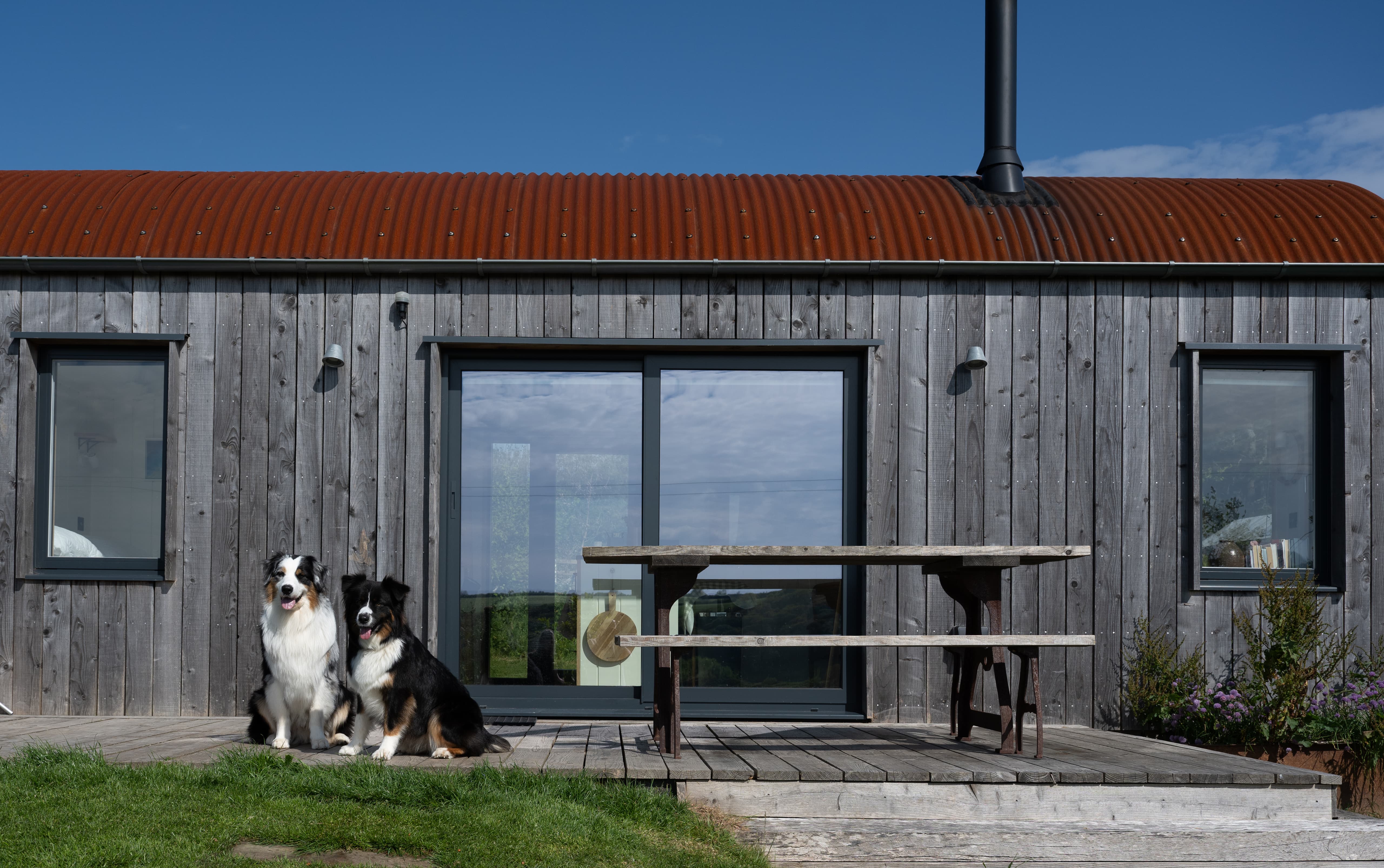 Two Australian Shepherds posing in front of the Rusty Sheds cabin in Devon